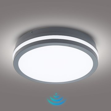 Brilagi - LED Außenleuchte mit Sensor BENE LED/24W/230V Ø 26 cm Anthrazit IP54