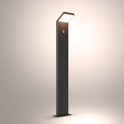 Brilagi - LED-Außenleuchte mit Bewegungsmelder RIANO LED/8W/230V Anthrazit IP65