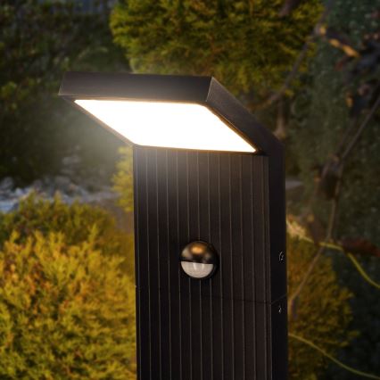 Brilagi - LED-Außenleuchte mit Bewegungsmelder RIANO LED/8W/230V Anthrazit IP65