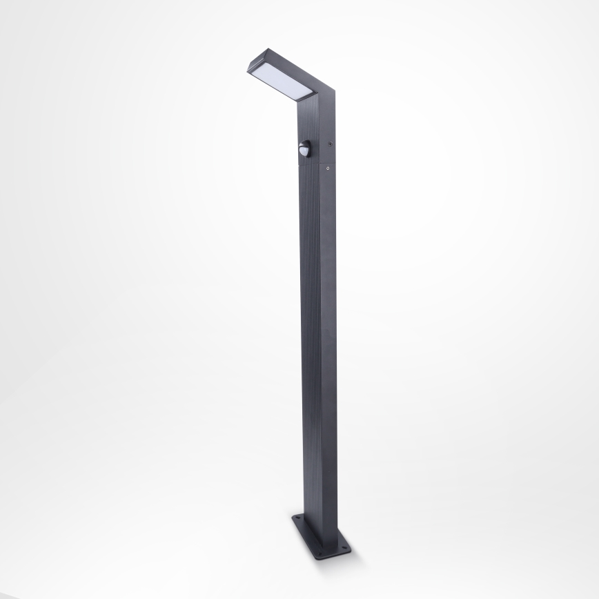 Brilagi - LED-Außenleuchte mit Bewegungsmelder RIANO LED/8W/230V Anthrazit IP65