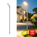 Brilagi - LED-Außenstraßenleuchte mit 3 m Mast und Schwenkarm URBANLIGHT LED/50W/230V grau IP65