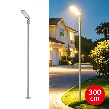 Brilagi - LED-Außenstraßenleuchte mit 3 m Mast und Schwenkarm URBANLIGHT LED/50W/230V grau IP65