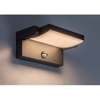 BRILAGI - LED-Außen-Wandleuchte mit Bewegungs- und Dämmerungssensor ANKLE LED/12W/230V IP65 schwarz
