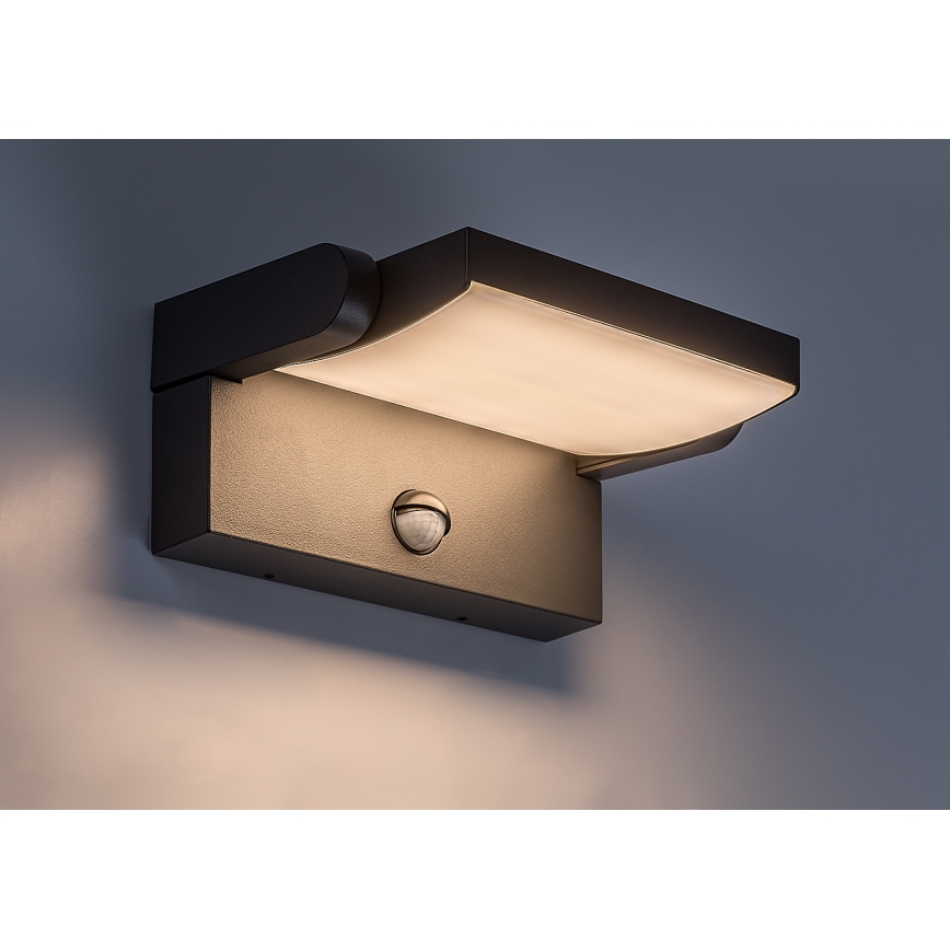 BRILAGI - LED-Außen-Wandleuchte mit Bewegungs- und Dämmerungssensor ANKLE LED/12W/230V IP65 schwarz