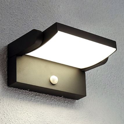 BRILAGI - LED-Außen-Wandleuchte mit Bewegungs- und Dämmerungssensor ANKLE LED/12W/230V IP65 schwarz