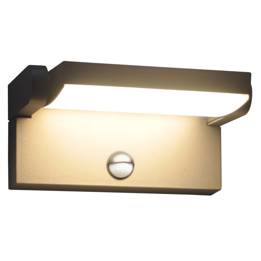 BRILAGI - LED-Außen-Wandleuchte mit Bewegungs- und Dämmerungssensor ANKLE LED/12W/230V IP65 schwarz