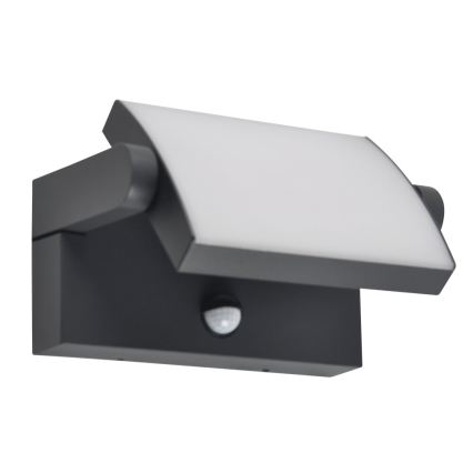 BRILAGI - LED-Außen-Wandleuchte mit Bewegungs- und Dämmerungssensor ANKLE LED/12W/230V IP65 schwarz
