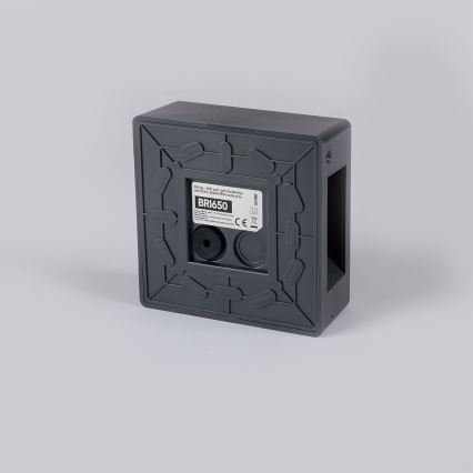 Brilagi - LED-Außenwandleuchte DOUBLERAY LED/6W/230V anthrazit IP54