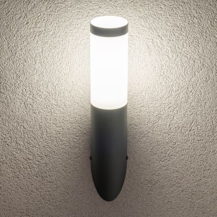 BRILAGI - LED-Außenwandleuchte ELIA 1xE27/7W/230V 4000K IP44 Anthrazit