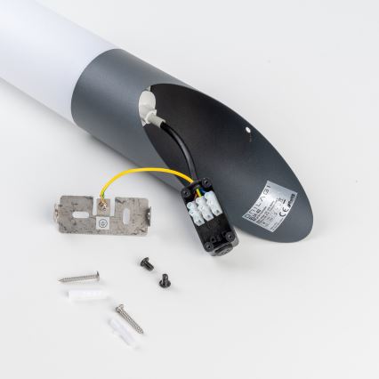 BRILAGI - LED-Außenwandleuchte ELIA 1xE27/7W/230V 4000K IP44 Anthrazit