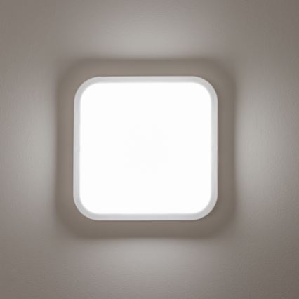 Brilagi - LED Auβen-Wandbeleuchtung LED/20W/230V IP54