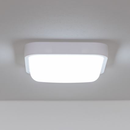 Brilagi - LED Auβen-Wandbeleuchtung LED/20W/230V IP54
