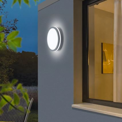 Brilagi - LED-Auβenleuchte BENE LED/24W/230V d 26 cm anthrazit IP54