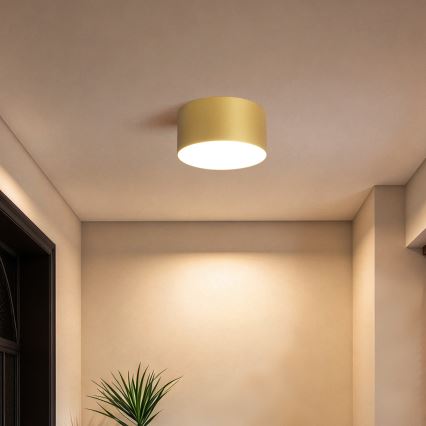 BRILAGI - LED-Deckenleuchte für Badezimmer FORIS LED/14W/230V Ø 12 cm goldfarben IP44