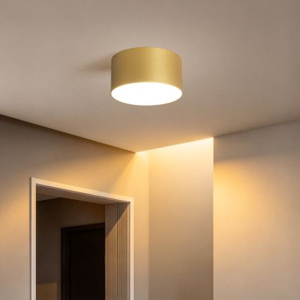 BRILAGI - LED-Deckenleuchte für Badezimmer FORIS LED/14W/230V Ø 12 cm goldfarben IP44