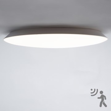 LED Deckenleuchte 39x39 Cm – Silberner Rahmen, Kaltweiß 6500K, 15 Watt, Inkl. Festem LED-Modul