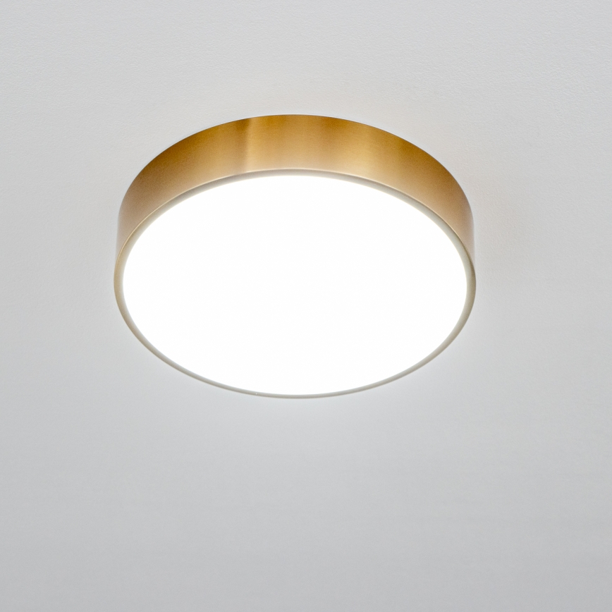 Brilagi - LED-Deckenleuchte für Badezimmer POOL LED/24W/230V 3000/4000/5500K Ø 30 cm IP54 Bronze