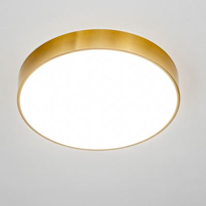 Brilagi - LED-Badezimmer-Deckenleuchte POOL LED/36W/230V 3000/4000/5500K Ø 40 cm IP54 Bronze