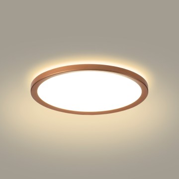 Brilagi - LED-Badezimmer-Deckenleuchte ULTRA SLIM LED/12W/230V Ø22,5 cm Roségold IP54