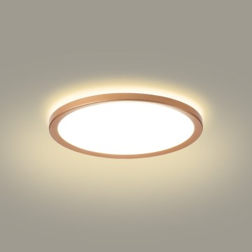Brilagi - LED-Badezimmer-Deckenleuchte ULTRA SLIM LED/18W/230V Ø 30 cm Roségold IP54