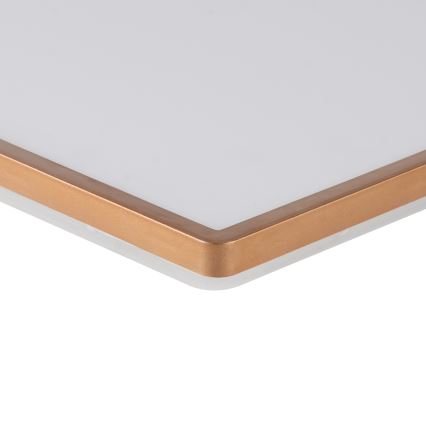 Brilagi - LED Badezimmer-Deckenleuchte ULTRA SLIM LED/24W/230V 42x42 cm Roségold IP54