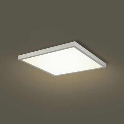 Brilagi - LED-Badezimmer-Deckenleuchte FRAME LED/50W/230V 3000/4000/6000K 60x60 cm IP44 silber