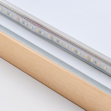 Brilagi - LED Badezimmerspiegel ERBA LED/25W/230V 50x80 cm gold IP44 CRI 90 dimmbar + CCT
