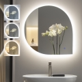 BRILAGI - LED-Badezimmerspiegel RICADI LED/19W/230V 60x60 cm IP44 CRI 90 dimmbar + CCT