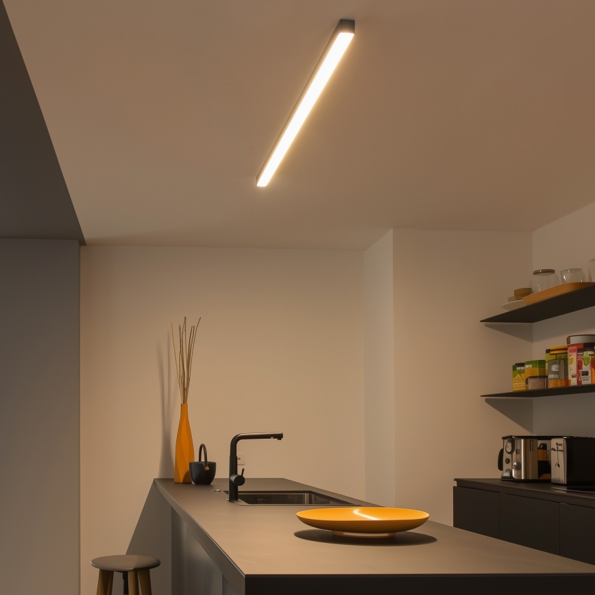 Brilagi - LED Deckenaufbauleuchte FULLDAY LED/30/40/50W/230V 2700/4000/6000K 150 cm schwarz
