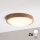 Brilagi - LED-Deckenleuchte CARVALHO MODERN SLIM 2xE27/60W/230V Ø 37,5 cm Eiche