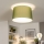 Brilagi - LED-Deckenleuchte CERIA, 1x E27/40W/230V, Ø 45 cm, grün