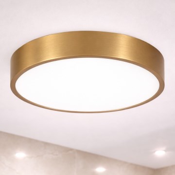 Brilagi - LED-Deckenleuchte für Badezimmer POOL LED/36W/230V 3000/4000/5500K Ø 40 cm IP54 Bronze