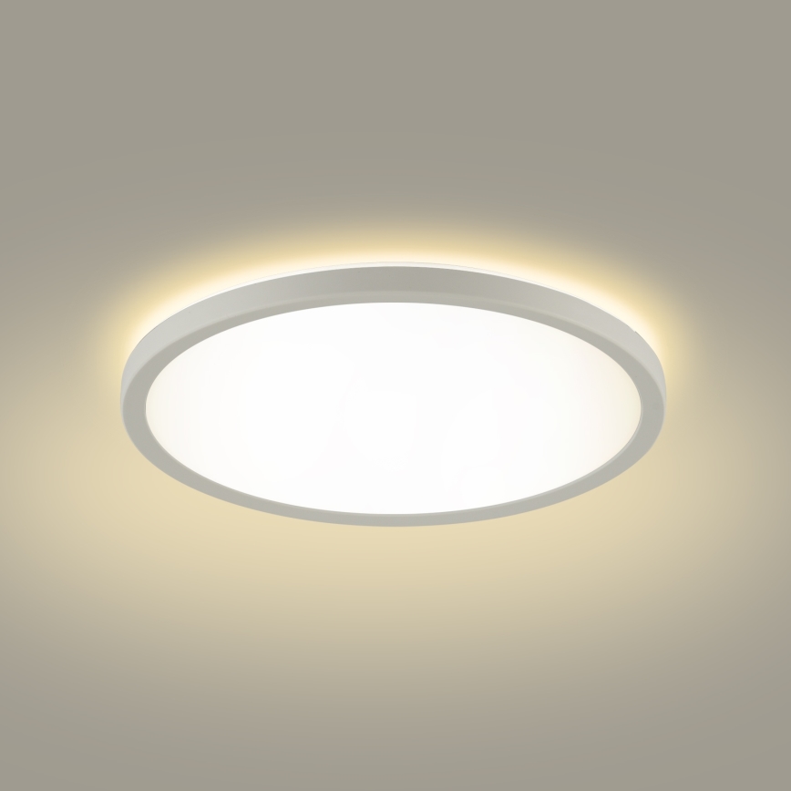 Brilagi - LED-Deckenleuchte für Badezimmer ULTRA SLIM LED/12W/230V d 22,5 cm weiß IP54