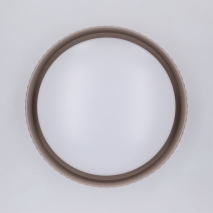 Brilagi - LED-Deckenleuchte LUCIA LED/24W/230V Ø 31 cm taupe