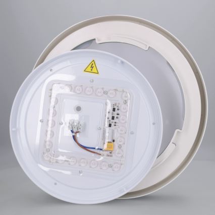 Brilagi - LED-Deckenleuchte MATTEO LED/24W/230V Ø 31 cm grün