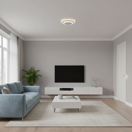 Brilagi - LED-Deckenleuchte MODERN MINI LED/22W/230V 3000/4000/6000K