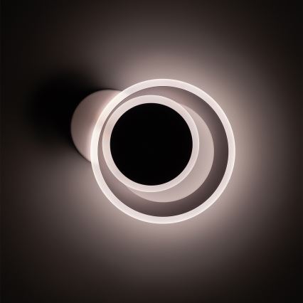 Brilagi - LED-Deckenleuchte MODERN MINI LED/22W/230V 3000/4000/6000K