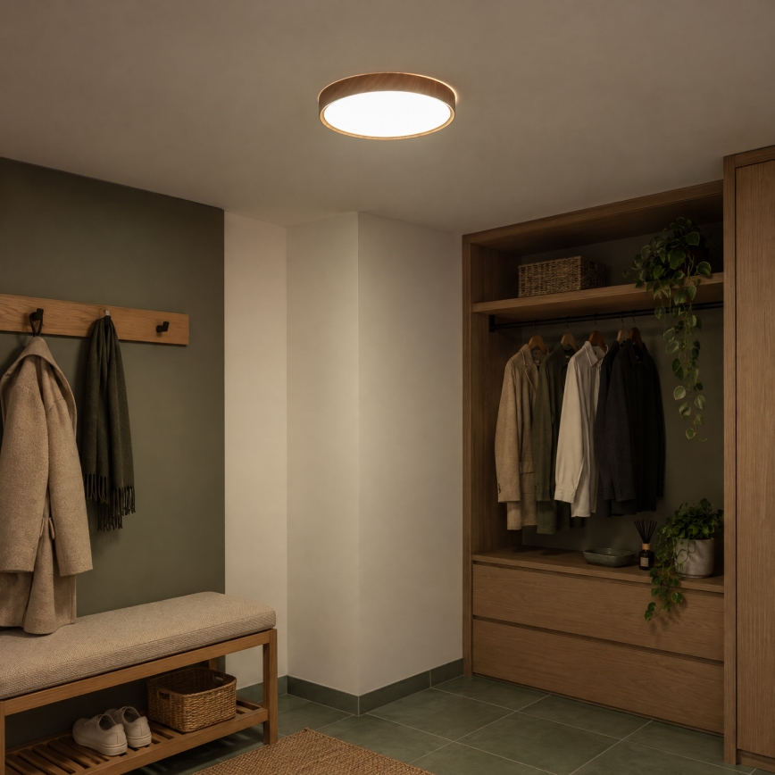 BRILAGI - LED-Deckenleuchte NATURA, 24 W, 230 V, 4000 K, Ø 38,3 cm