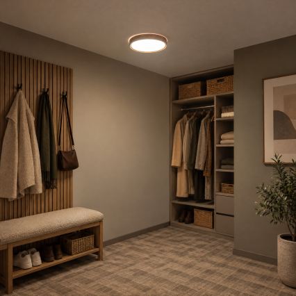 BRILAGI - LED-Deckenleuchte NATURA LED/20W/230V 4000K Ø 33,7 cm