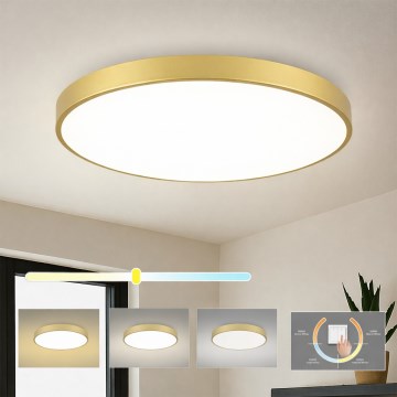 Brilagi - LED-Deckenleuchte POOL LED/100W/230V 3000/4000/6000K Ø 80 cm goldfarben