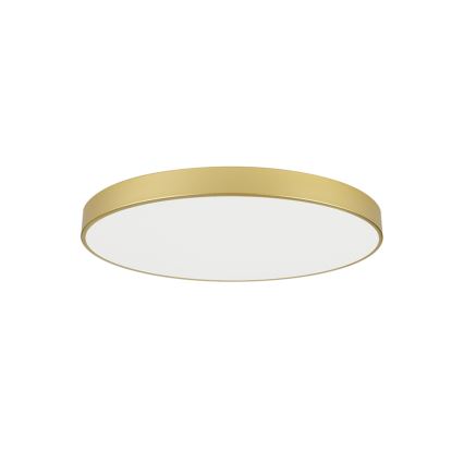 Brilagi - LED-Deckenleuchte POOL LED/100W/230V 3000/4000/6000K Ø 80 cm goldfarben