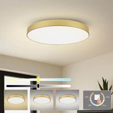 Brilagi - LED-Deckenleuchte POOL LED/128W/230V 3000/4000/6000K Ø 100 cm goldfarben