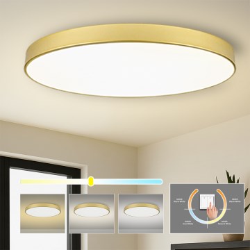 Brilagi - LED-Deckenleuchte POOL LED/180W/230V 3000/4000/6000K Ø 120 cm goldfarben