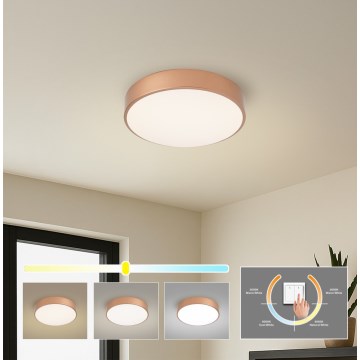 Brilagi - LED-Deckenleuchte POOL LED/36W/230V 3000/4000/6000K Durchmesser 30 cm bronzefarben