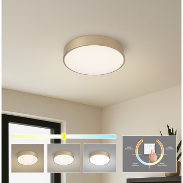 Brilagi - LED-Deckenleuchte POOL LED/36W/230V 3000/4000/6000K Ø 30 cm goldfarben
