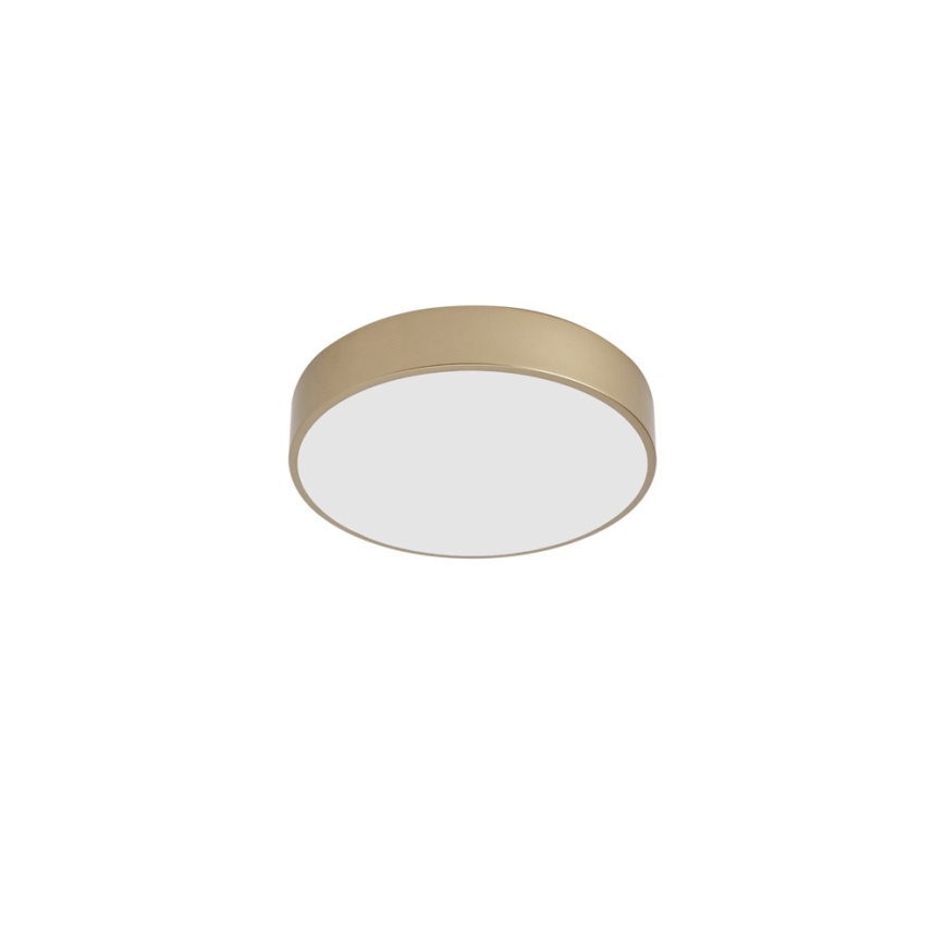 Brilagi - LED-Deckenleuchte POOL LED/36W/230V 3000/4000/6000K Ø 30 cm goldfarben