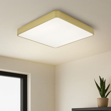 Brilagi - LED-Deckenleuchte POOL LED/48W/230V 3000/4000/6000K 50x50 cm goldfarben