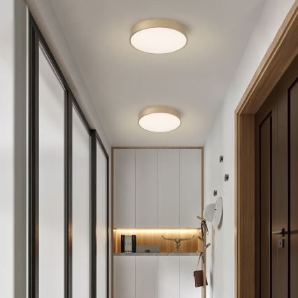 Brilagi - LED-Deckenleuchte POOL LED/48W/230V 3000/4000/6000K, Durchmesser 40 cm, goldfarben