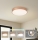 Brilagi - LED-Deckenleuchte POOL LED/48W/230V 3000/4000/6000K Ø 40 cm bronzefarben