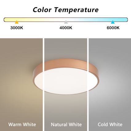Brilagi - LED-Deckenleuchte POOL LED/48W/230V 3000/4000/6000K Ø 40 cm bronzefarben